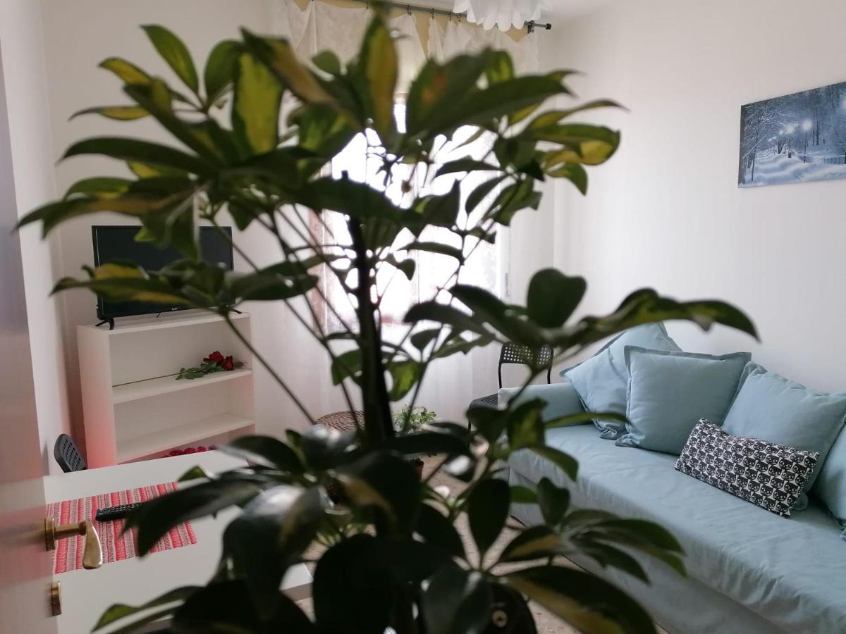 피사 Giuseppe House 아파트 외부 사진